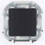 Переключатель IP44 - INSPIRIA - 10 AX - 250 В~ - антрацит, 673673